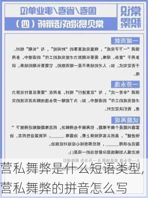 营私舞弊是什么短语类型,营私舞弊的拼音怎么写