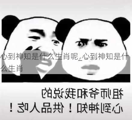 心到神知是什么生肖呢_心到神知是什么生肖