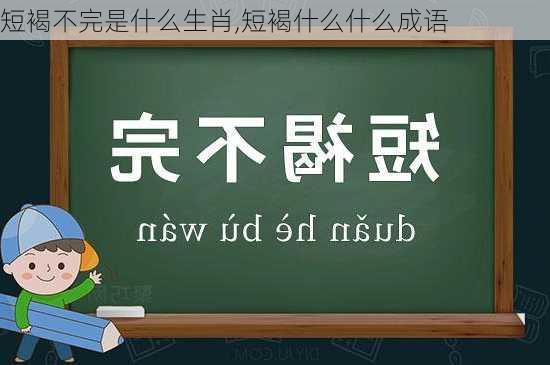 短褐不完是什么生肖,短褐什么什么成语