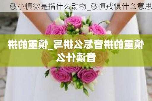 敬小慎微是指什么动物_敬慎戒惧什么意思