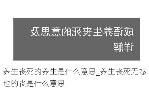 养生丧死的养生是什么意思_养生丧死无憾也的丧是什么意思