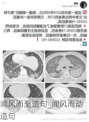 闻风而至造句_闻风而动造句