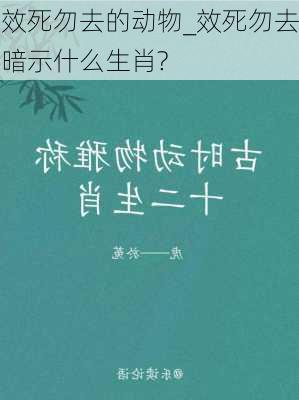 效死勿去的动物_效死勿去暗示什么生肖?