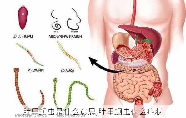 肚里蛔虫是什么意思,肚里蛔虫什么症状