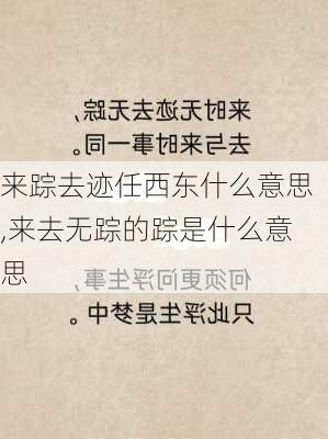 来踪去迹任西东什么意思,来去无踪的踪是什么意思