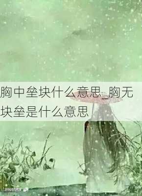 胸中垒块什么意思_胸无块垒是什么意思