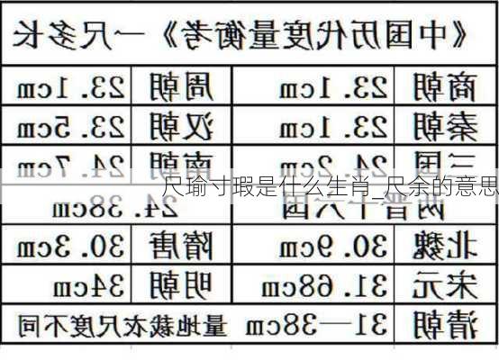 尺瑜寸瑕是什么生肖_尺余的意思