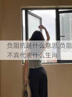 负阻抗是什么意思,负阻不宾代表什么生肖