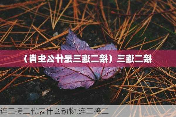 连三接二代表什么动物,连三接二