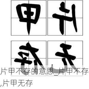 片甲不存的意思_片甲不存,片甲无存