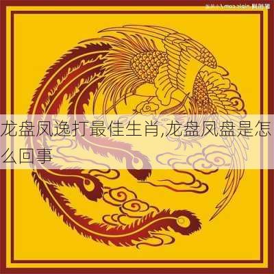 龙盘凤逸打最佳生肖,龙盘凤盘是怎么回事