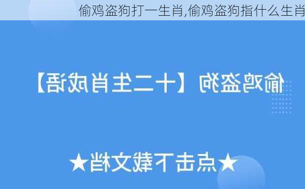 偷鸡盗狗打一生肖,偷鸡盗狗指什么生肖