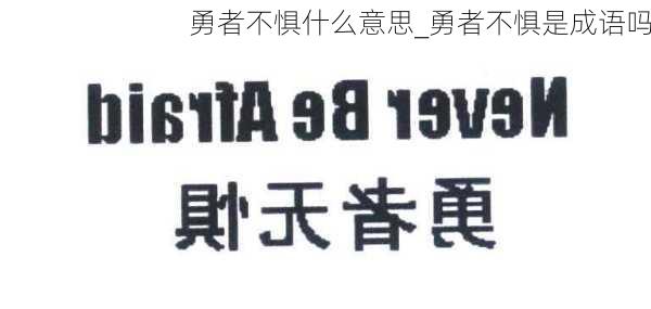 勇者不惧什么意思_勇者不惧是成语吗