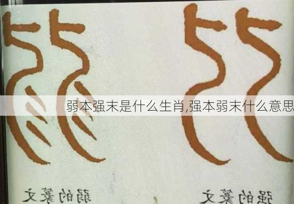 弱本强末是什么生肖,强本弱末什么意思