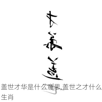 盖世才华是什么意思,盖世之才什么生肖