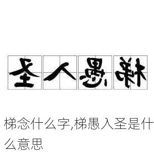 梯念什么字,梯愚入圣是什么意思