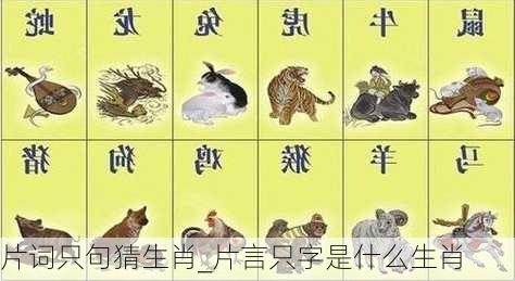 片词只句猜生肖_片言只字是什么生肖