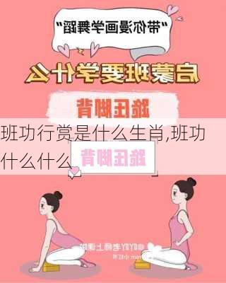 班功行赏是什么生肖,班功什么什么