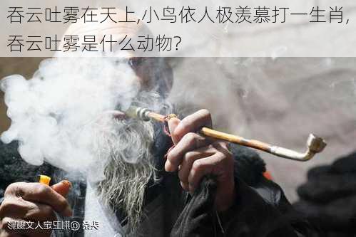 吞云吐雾在天上,小鸟依人极羡慕打一生肖,吞云吐雾是什么动物?