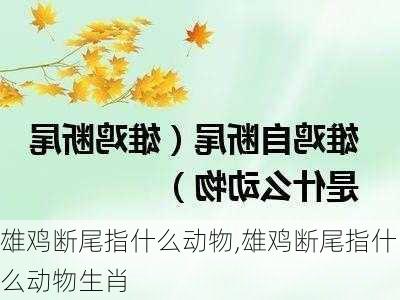 雄鸡断尾指什么动物,雄鸡断尾指什么动物生肖