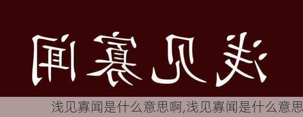 浅见寡闻是什么意思啊,浅见寡闻是什么意思