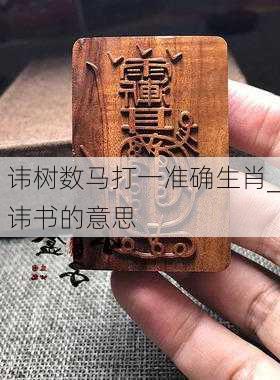 讳树数马打一准确生肖_讳书的意思