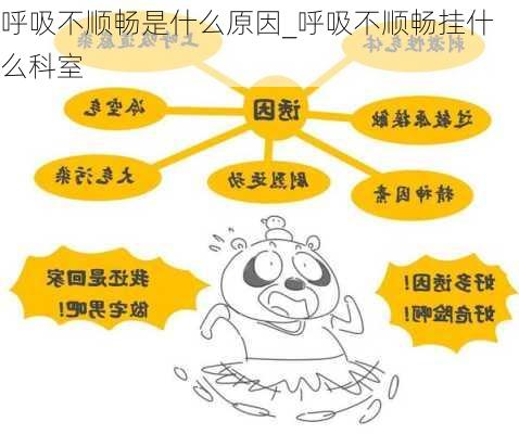 呼吸不顺畅是什么原因_呼吸不顺畅挂什么科室