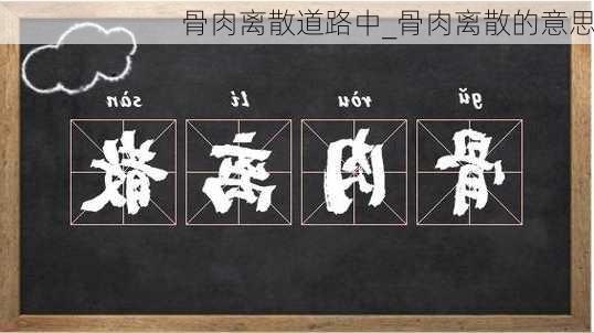 骨肉离散道路中_骨肉离散的意思