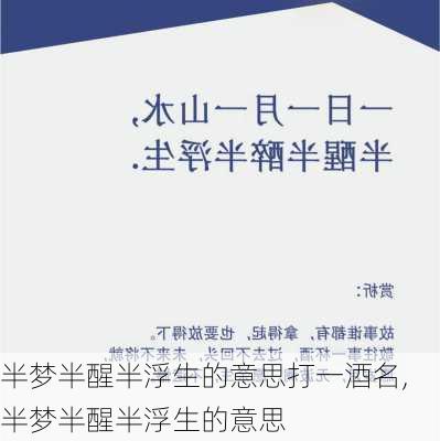 半梦半醒半浮生的意思打一酒名,半梦半醒半浮生的意思