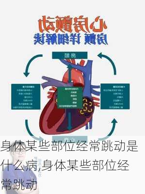 身体某些部位经常跳动是什么病,身体某些部位经常跳动