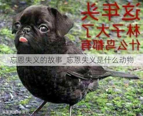 忘恩失义的故事_忘恩失义是什么动物