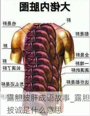 露胆披肝成语故事_露胆披诚是什么意思