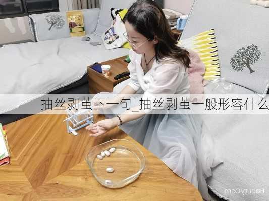 抽丝剥茧下一句_抽丝剥茧一般形容什么