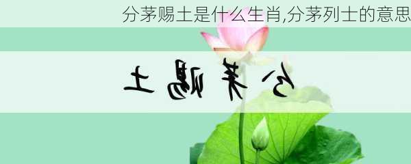 分茅赐土是什么生肖,分茅列士的意思