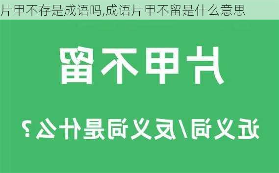 片甲不存是成语吗,成语片甲不留是什么意思