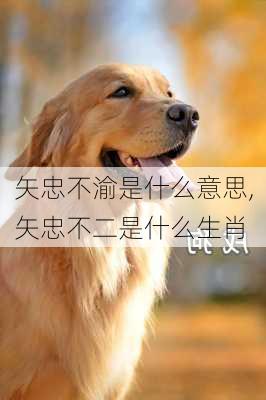 矢忠不渝是什么意思,矢忠不二是什么生肖