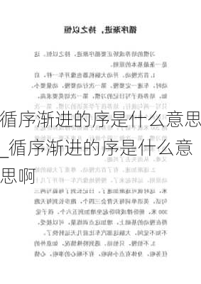 循序渐进的序是什么意思_循序渐进的序是什么意思啊