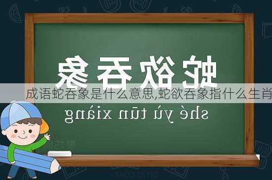 成语蛇吞象是什么意思,蛇欲吞象指什么生肖