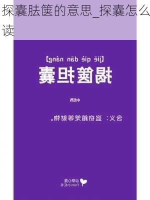 探囊胠箧的意思_探囊怎么读