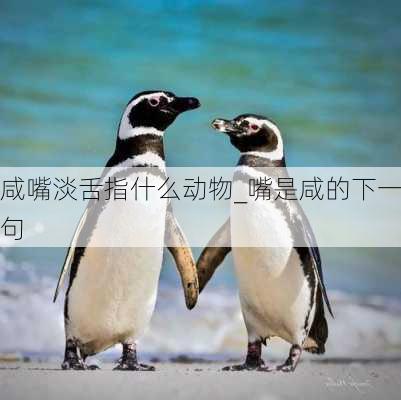 咸嘴淡舌指什么动物_嘴是咸的下一句