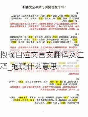 抱璞自泣文言文翻译及注释_抱璞什么意思