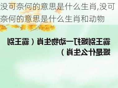 没可奈何的意思是什么生肖,没可奈何的意思是什么生肖和动物