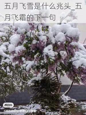 五月飞雪是什么兆头_五月飞霜的下一句