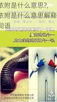 依附是什么意思?,依附是什么意思解释词语