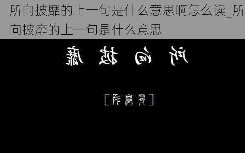 所向披靡的上一句是什么意思啊怎么读_所向披靡的上一句是什么意思