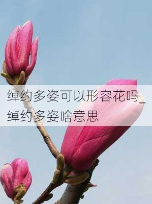 绰约多姿可以形容花吗_绰约多姿啥意思