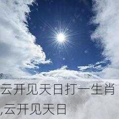 云开见天日打一生肖,云开见天日