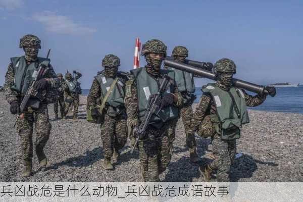 兵凶战危是什么动物_兵凶战危成语故事