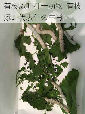 有枝添叶打一动物_有枝添叶代表什么生肖