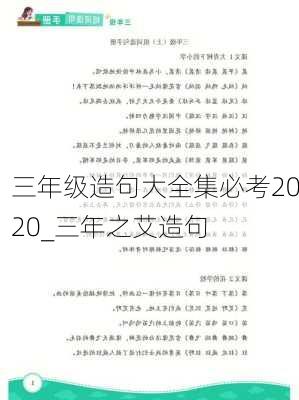 三年级造句大全集必考2020_三年之艾造句